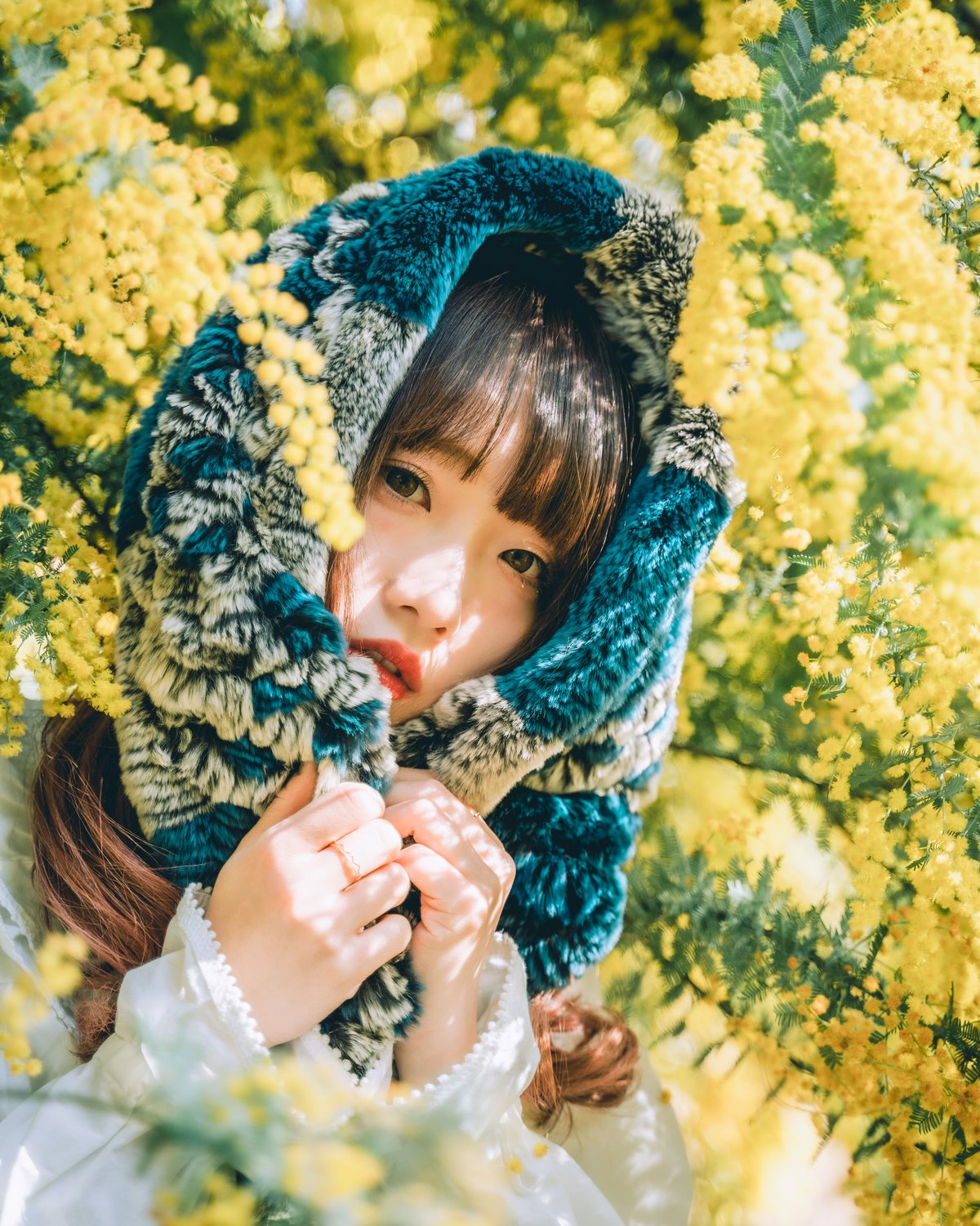Lr Preset【Mimosa Classic】 | Mizüki's STORE