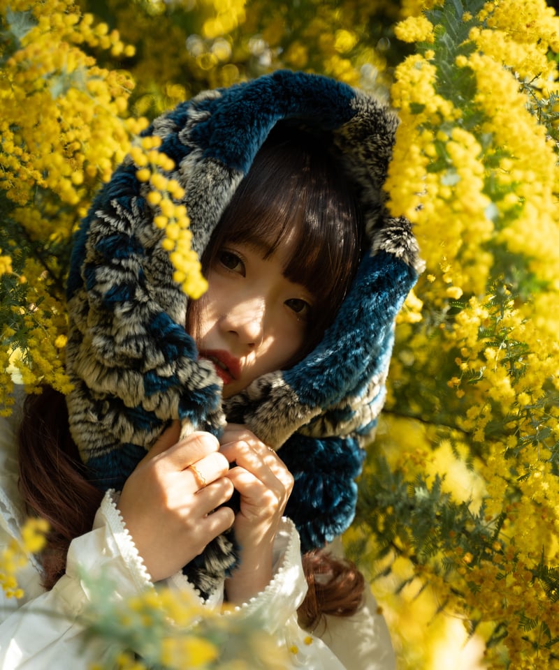 Lr Preset【Mimosa Classic】 | Mizüki's STORE