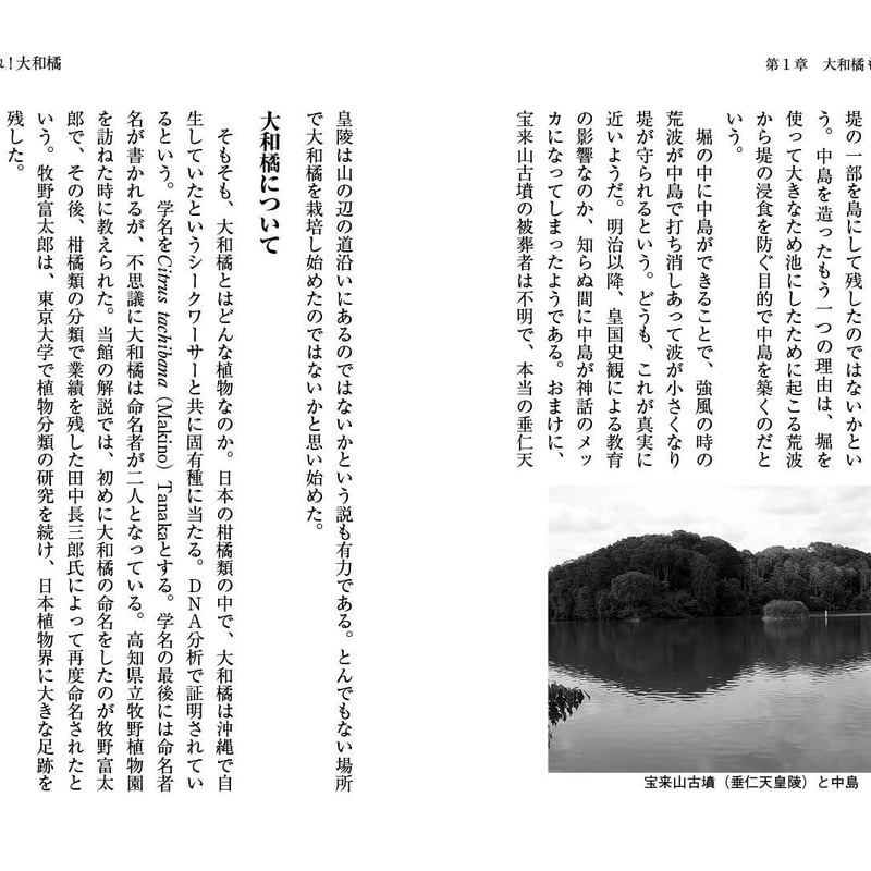 よみがえれ！大和橘～絶滅の危機から再生へ～ | 京阪奈情報教育出版