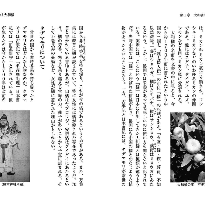 よみがえれ！大和橘～絶滅の危機から再生へ～ | 京阪奈情報教育出版
