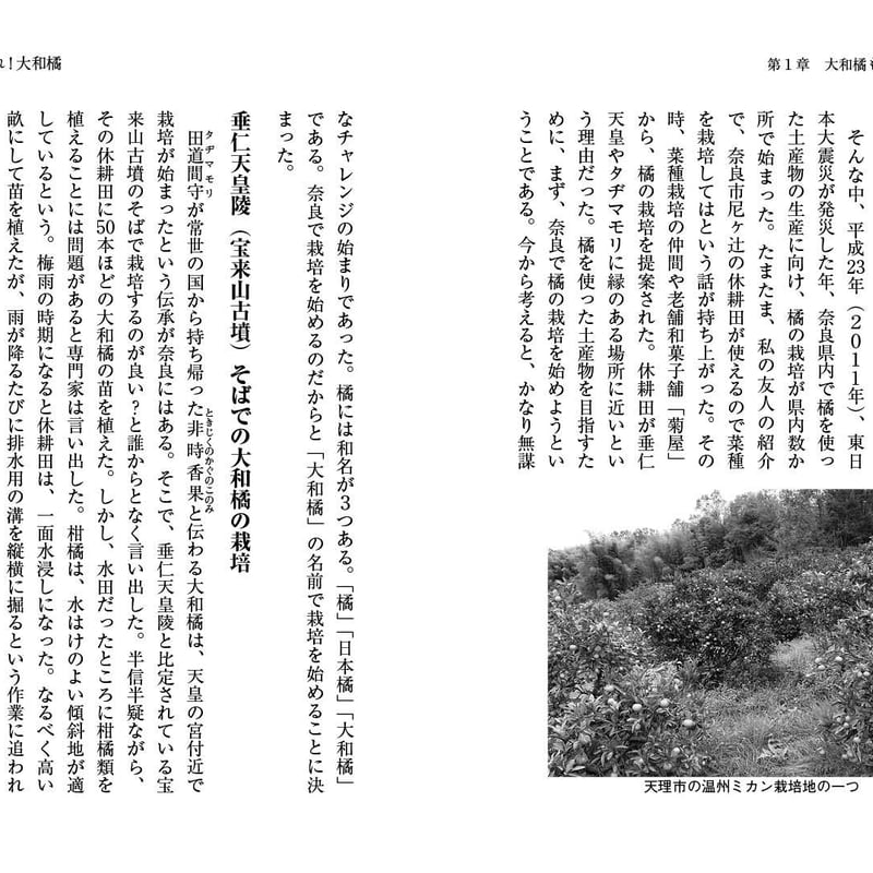 よみがえれ！大和橘～絶滅の危機から再生へ～ | 京阪奈情報教育出版
