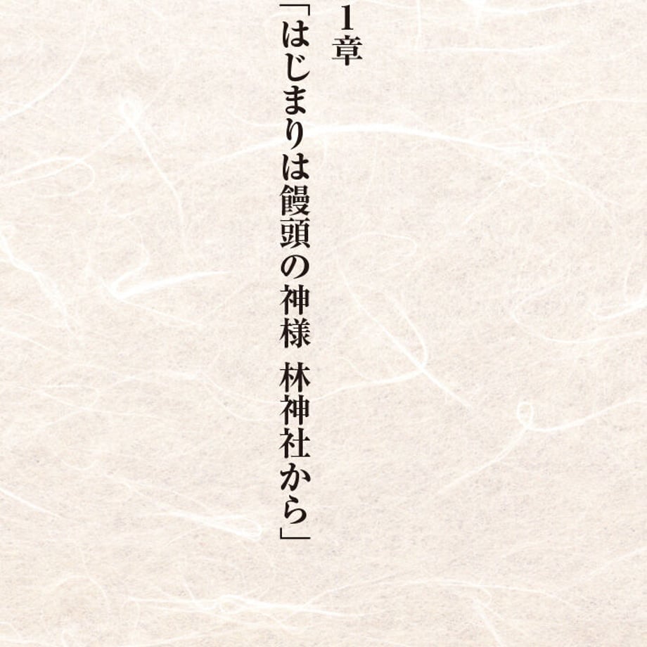 63249b0f23c2aa652d66797b