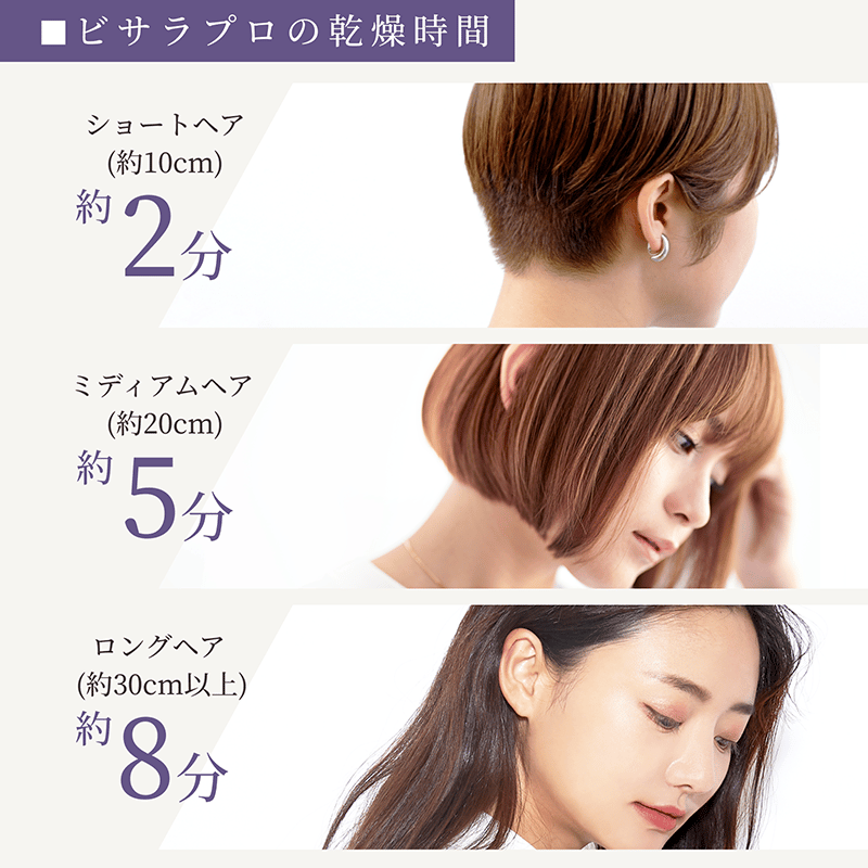 ハンズフリースタンドヘアドライヤー BISARA PRO (ビサラ プロ) BSR003