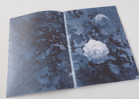 手製本 "N/P"  限定100部　hand-bound photobook, zine, Limited 100 copies