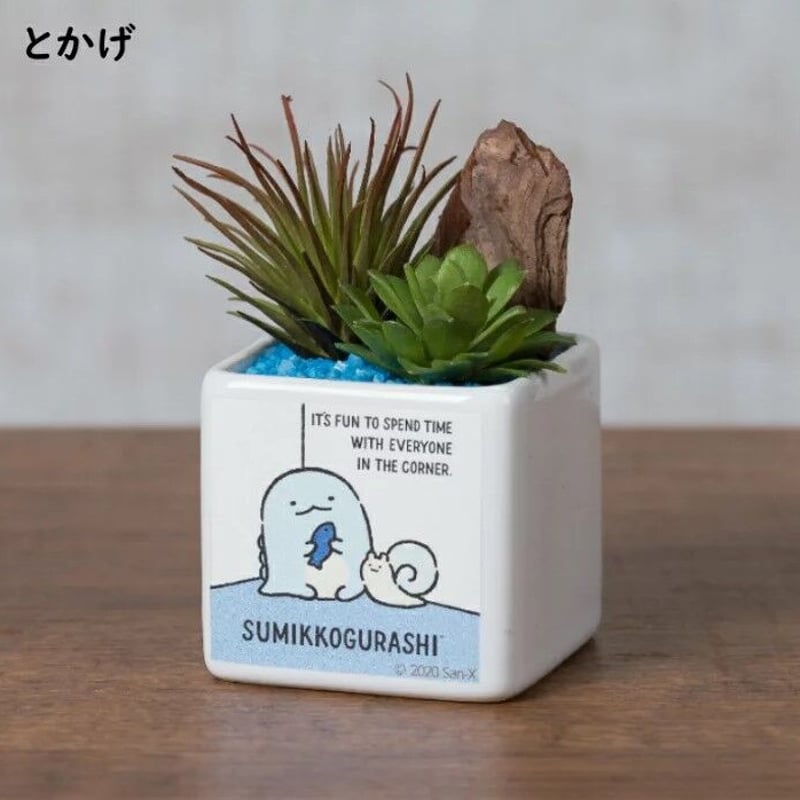 すみっコぐらし造花多肉アレンジメント | soundspice