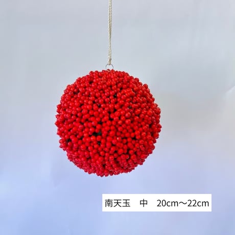 郡上南天 | STORES