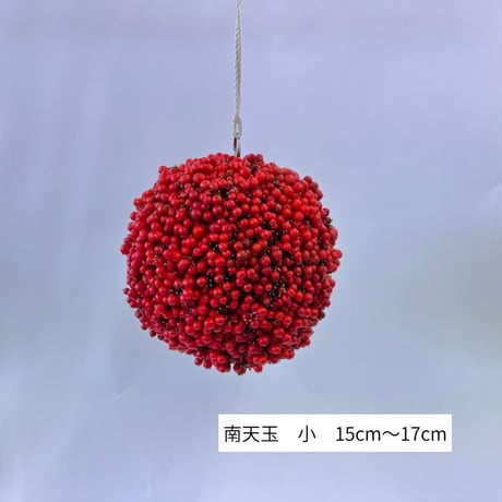 南天 | STORES