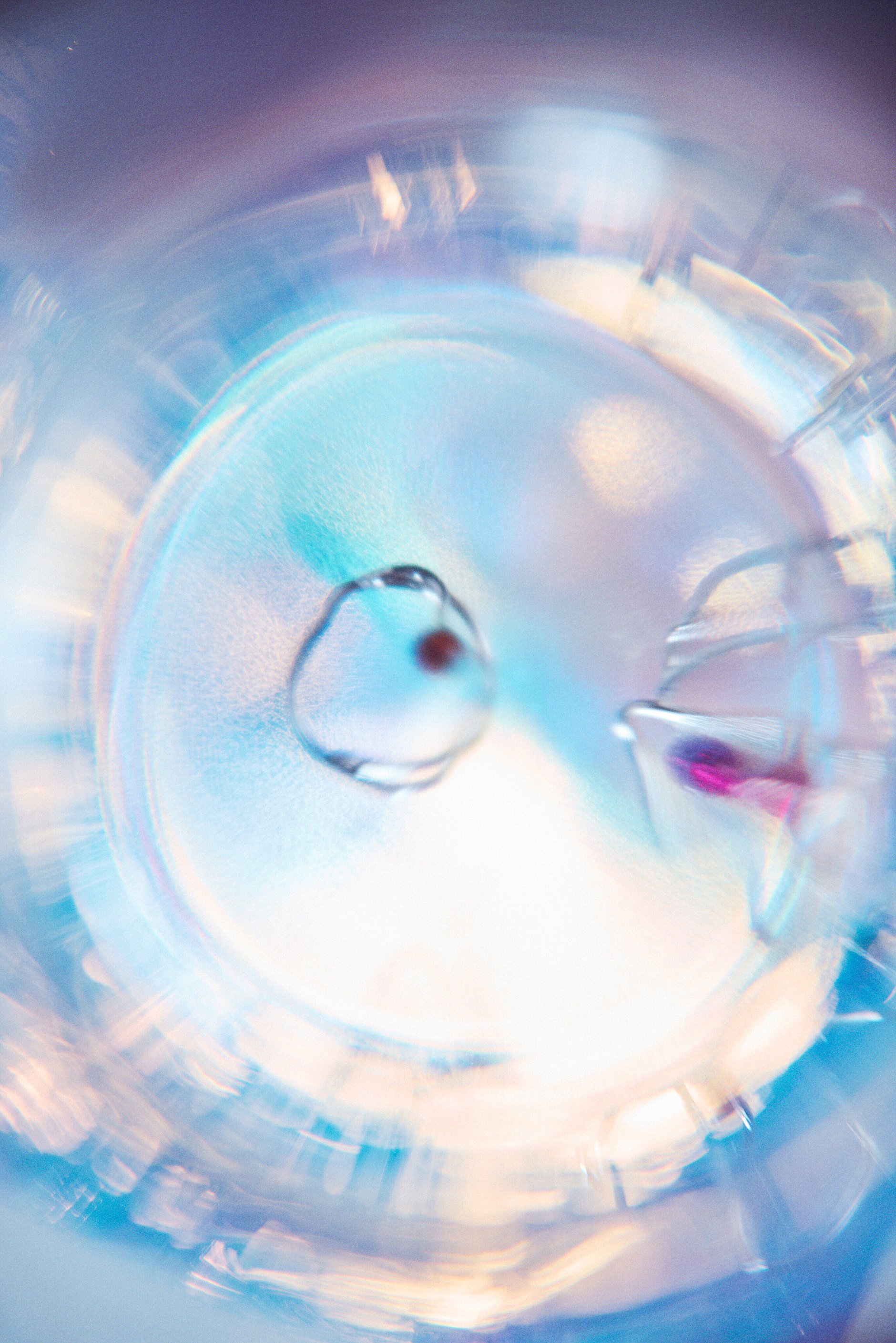 ブルーポーションの魔法と月猫ピアス えっくす☆きゅーと特別企画第4弾！「Star Sprinkles/ Moon Cat