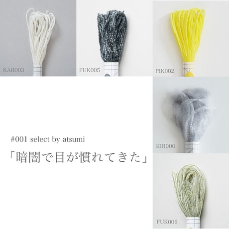 STAFF SELECT #001｜暗闇で目が慣れてきた