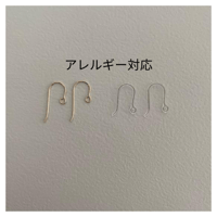 アレルギー対応金具変更（14kgf）