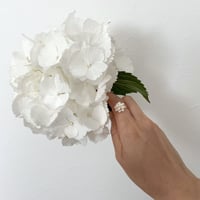 Wendy（ウェンディ）　淡水パール　リング