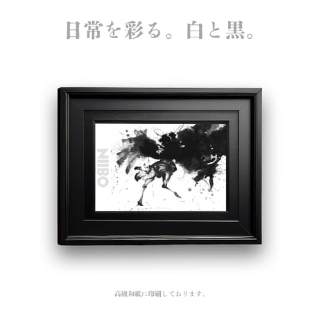 Postcard “Ostrich”