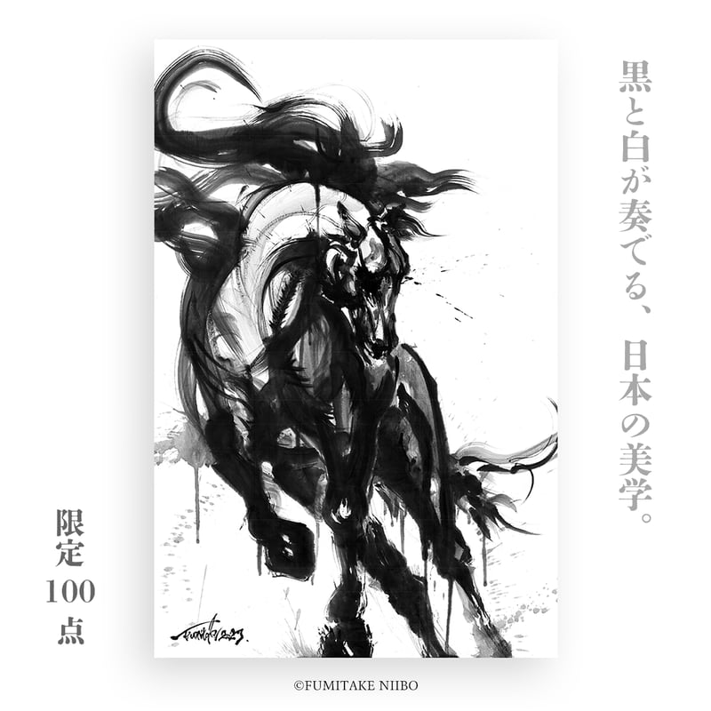 FUMITAKE NIIBO 新穂文健