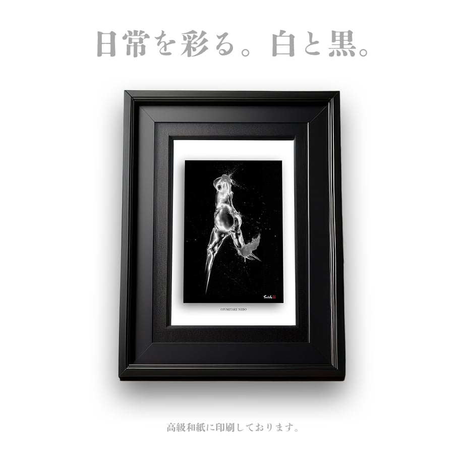 682d28d2bfb5fa6207c81859
