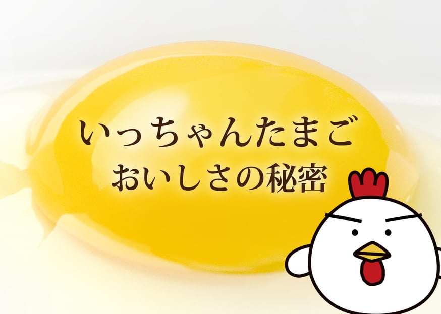 NEWS | いっちゃんたまご公式通販サイト 三重県いなべ市産 栄養