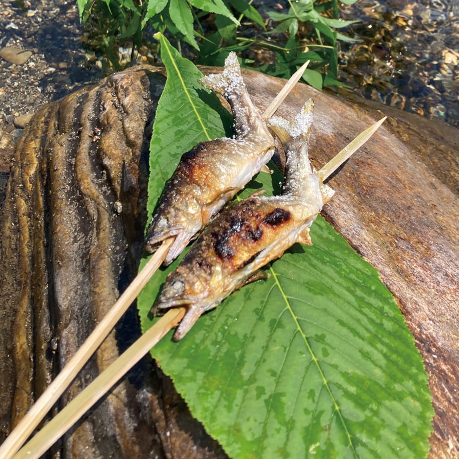 64f0444e7ab880003133220b