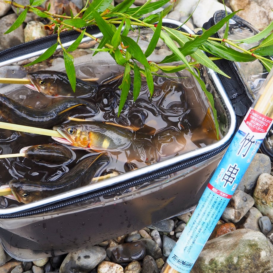 64f0444e7ab880003133220b