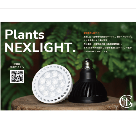 プランツネクスライト | STORES