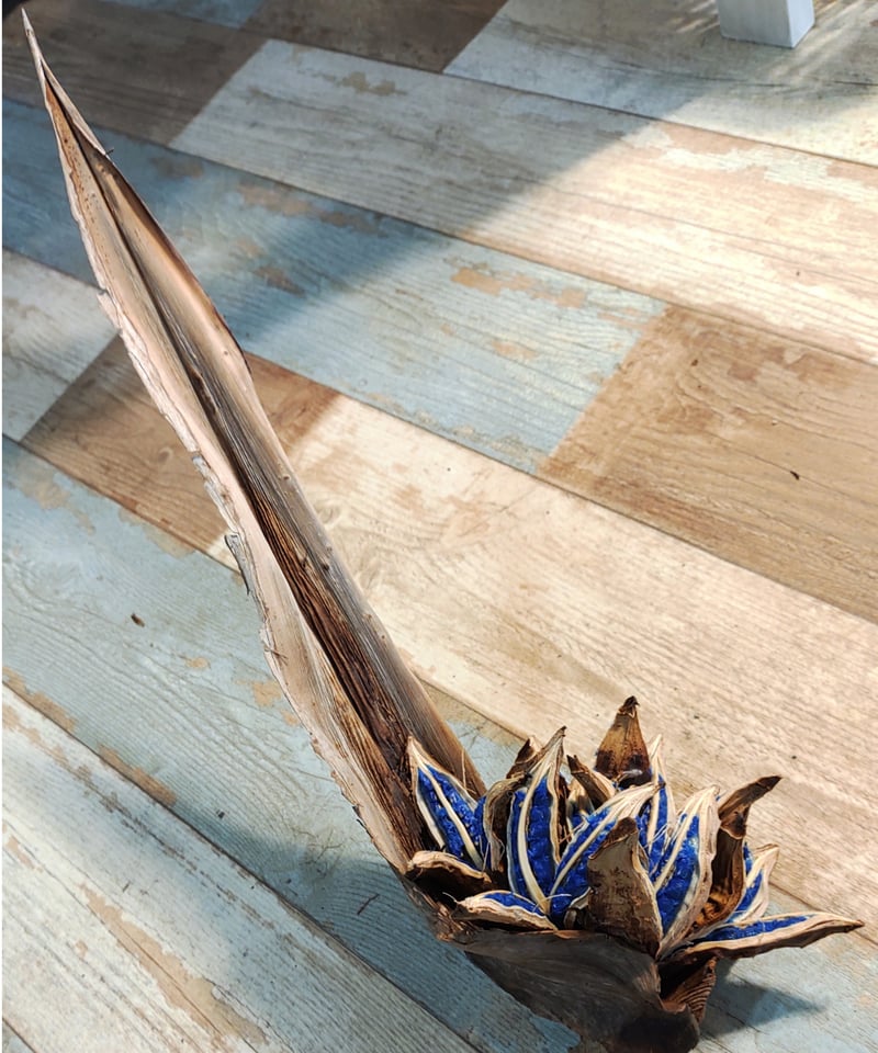 旅人の木の種 葉付き B | toA Succulent