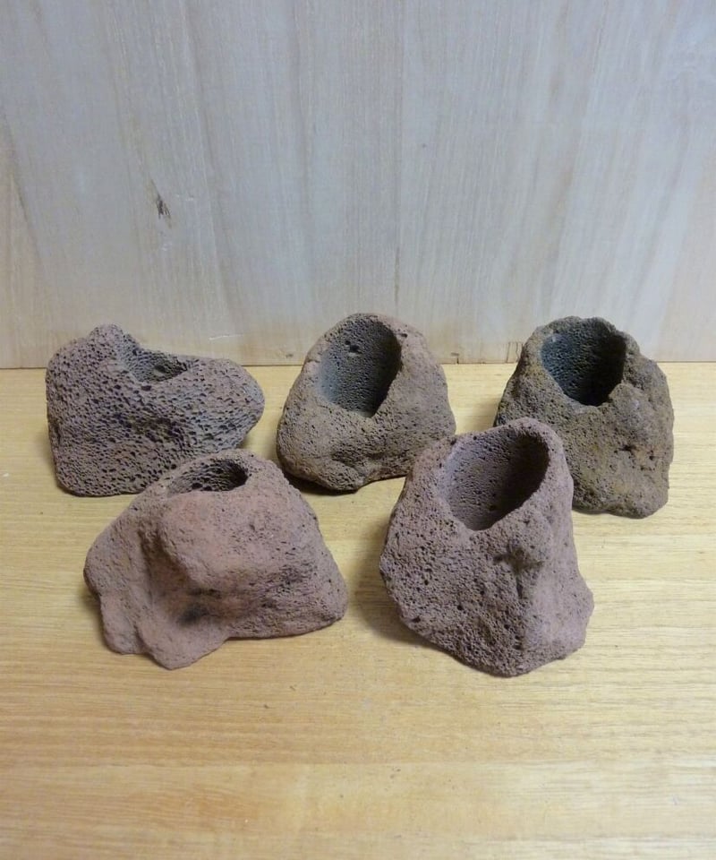 溶岩石鉢 | toA Succulent