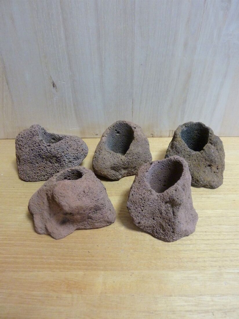 岩石鉢 81o-pNfcjYL.jpg_BO30,255,255,