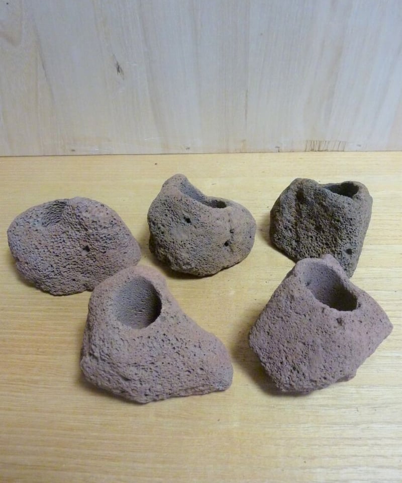 溶岩石鉢 | toA Succulent