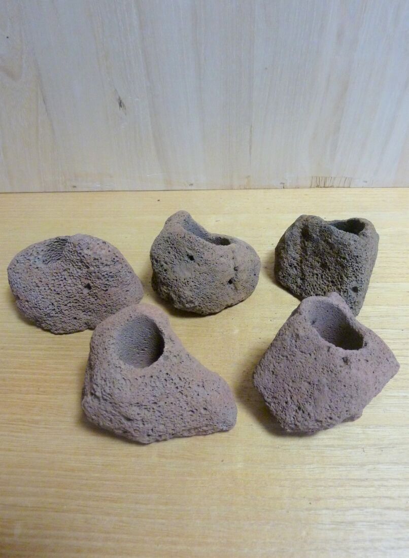 溶岩石鉢 | toA Succulent