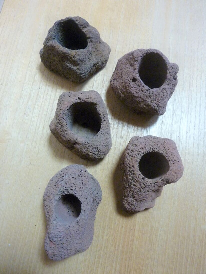 岩石鉢 楽天市場】溶岩石 鉢（水槽・アクアリウム内装｜熱帯魚・アクアリウム