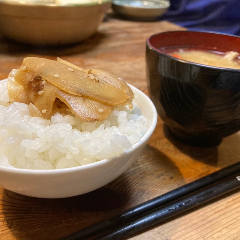 高知土佐四万十親生姜500g〜800g 【栽培時農薬・化学肥料不使用