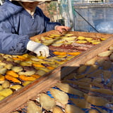 MIDORI自然食品│高知県土佐四万十の食品販売店
