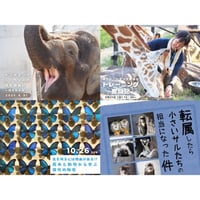 オンラインイベントアーカイブ動画⑨＜2025年8月～11月開催分＞