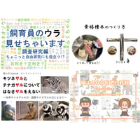 オンラインイベントアーカイブ動画②＜2022年8月～11月開催分＞