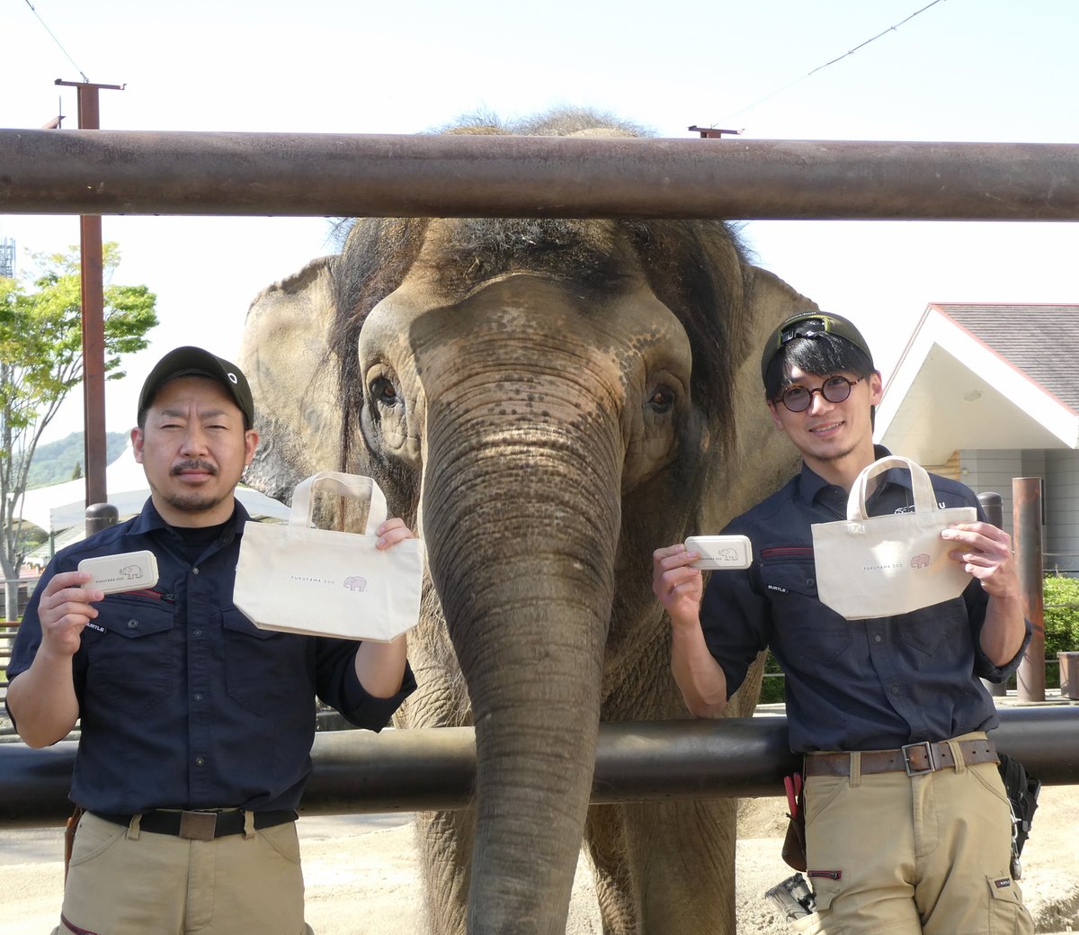 ボルネオゾウふくちゃん＞組立式カトラリーセット | 福山市立動物園
