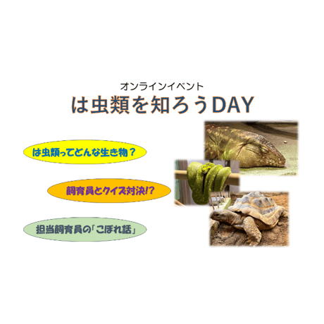 オンラインイベントアーカイブ動画⑤＜2023年10月～2024年1月開催分＞