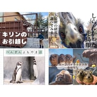 オンラインイベントアーカイブ動画⑥＜2024年2月～8月開催分＞
