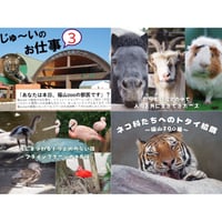 オンラインイベントアーカイブ動画⑦＜2024年9月～12月開催分＞