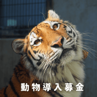 動物導入募金Cコース
