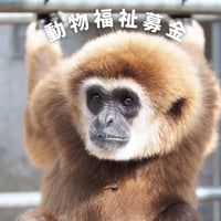 動物福祉募金Ｃコース