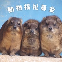 動物福祉募金Bコース
