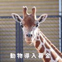 動物導入募金Dコース
