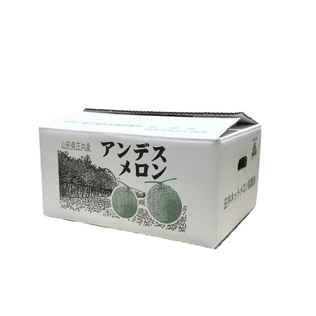 川村農園【庄内砂丘アンデスメロン ３玉入り】１箱 ※送料込み