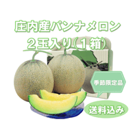 ≪早割り予約受付中≫阿部農園【庄内砂丘パンナメロン ２玉入り】１箱 ※送料込み