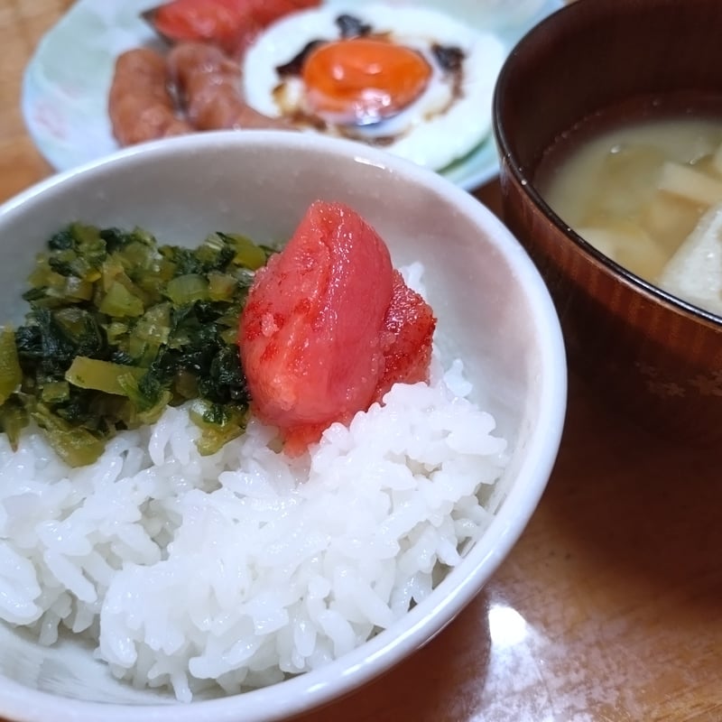 ほり農園 【庄内米 つや姫 5㎏】令和7年産 | 酒田観光物産協会直行便