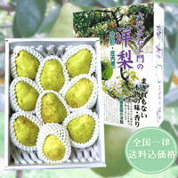 【予約受付中】 佐藤農園 庄内産バラード３ｋｇ箱入り 【全国一律送料込】