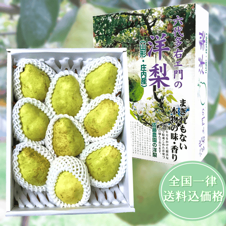 【予約受付中】 佐藤農園 庄内産バラード３ｋｇ箱入り 【全国一律送料込】
