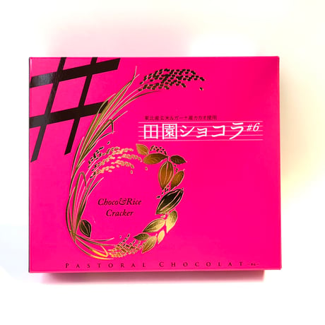 酒田米菓【田園 ショコラ #6　15個入り】季節限定商品