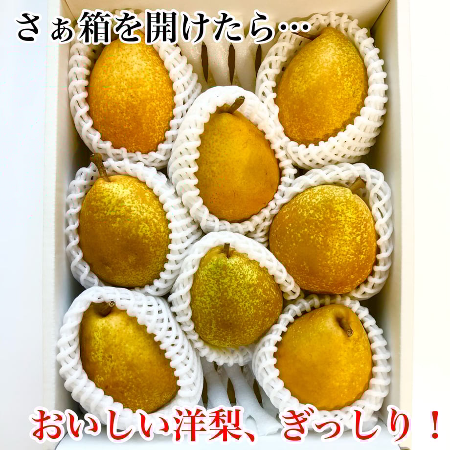 63258421f0b1082bc911e01b