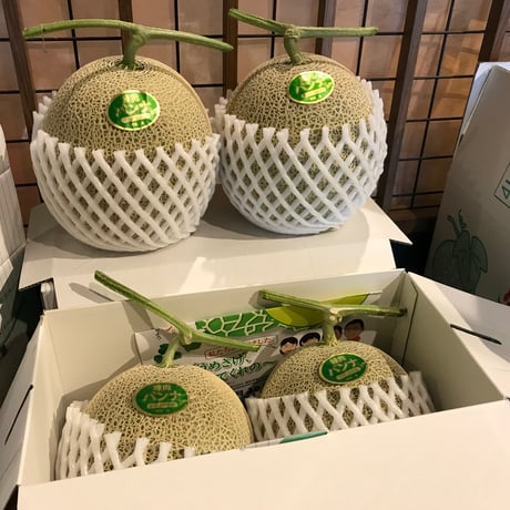阿部農園【庄内砂丘パンナメロン ３玉入り】２箱 ※送料込み