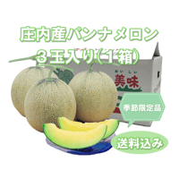 ≪早割り予約受付中≫阿部農園【庄内砂丘パンナメロン ３玉入り】１箱 ※送料込み
