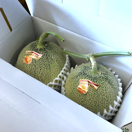川村農園【庄内砂丘アンデスメロン ２玉入り】１箱 ※送料込み